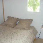 Zecamping 4 Anime Pet Friendly Anime Piscine Chauffee 洛彻古德