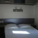 营地 Zecamping 4 Anime Pet Friendly Anime Piscine Chauffee *